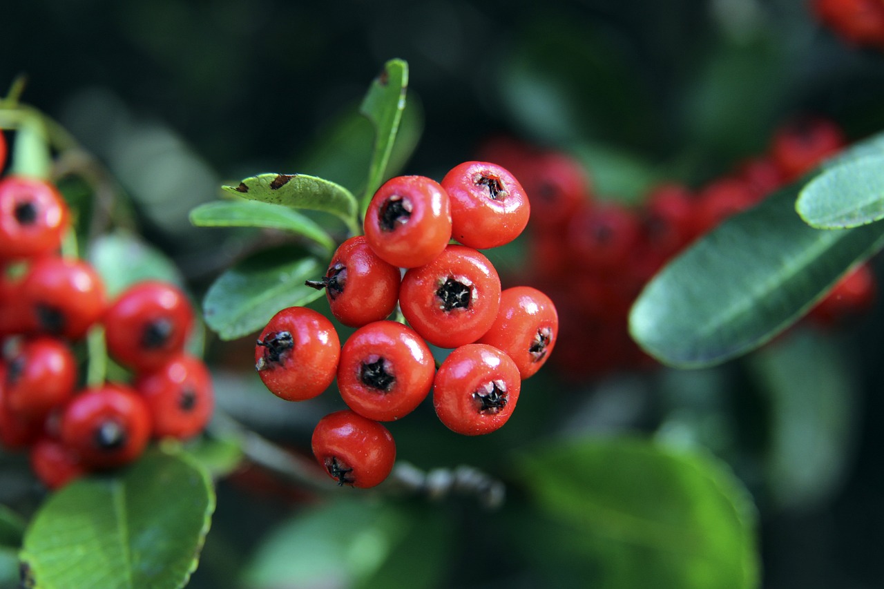 以防范