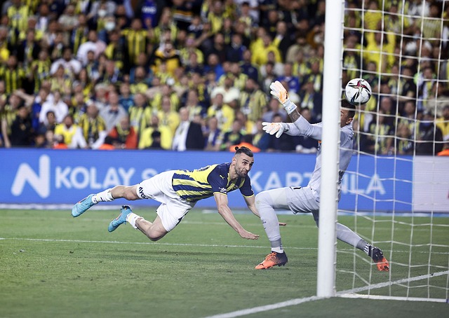 阿诺德与利 阿诺德与利