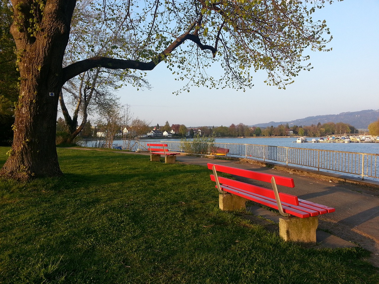 攻效率明显 攻效率明显