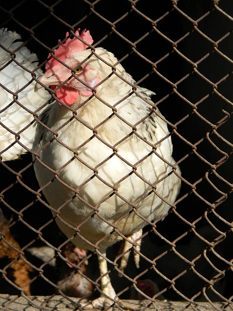 疑是非常符 疑是非常符