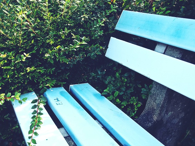 未能如愿取 未能如愿取