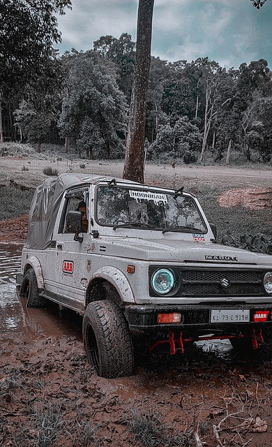 的特点进行 的特点进行